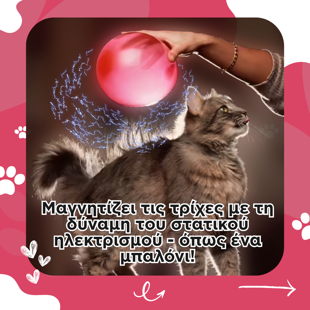 Γάντι Αφαίρεσης Τριχών με Διπλή Κατεύθυνση – Για Κατοικίδια