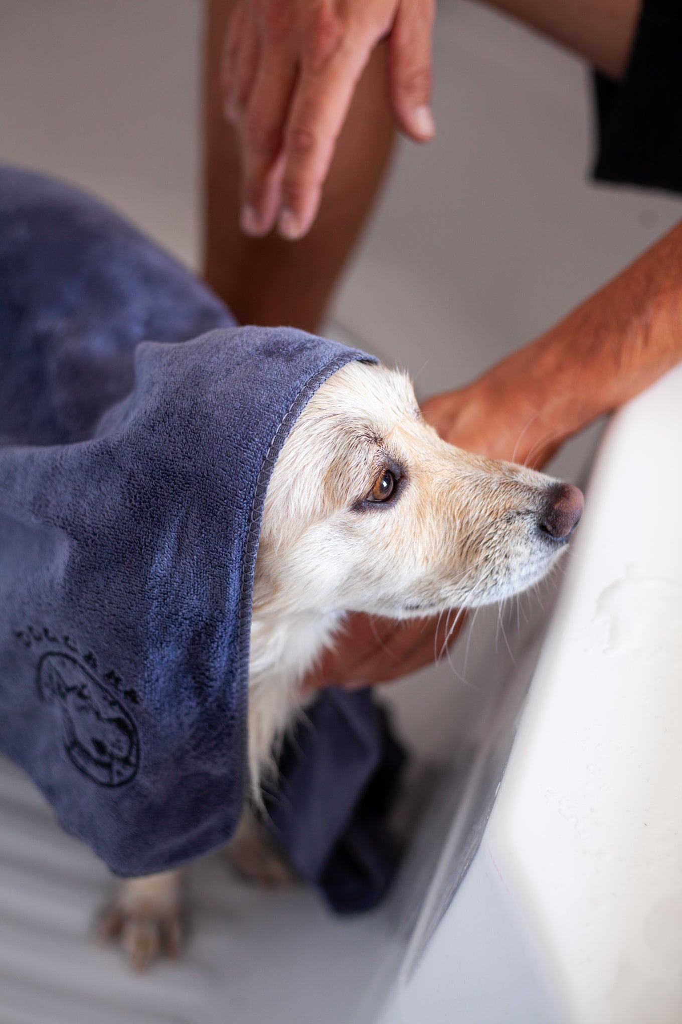 DogCare® Towel