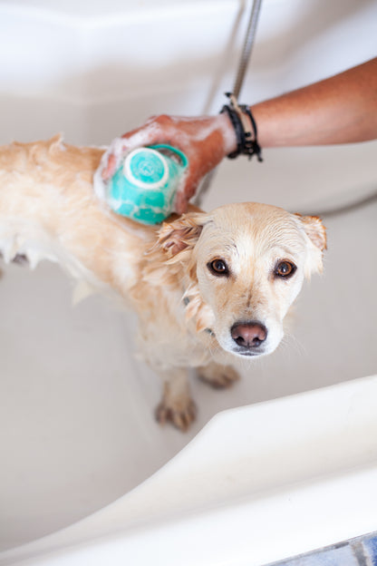 DogCare® Massage Brush Set Pack (Blue & Pink)