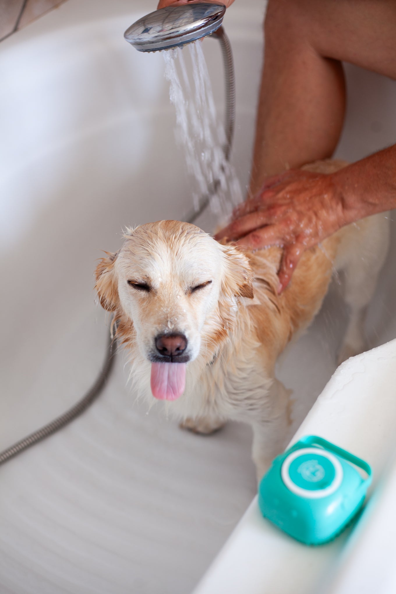 DogCare® Bath Kit (Silicon Brush Blue, Pink, Towel, ToothBrush)