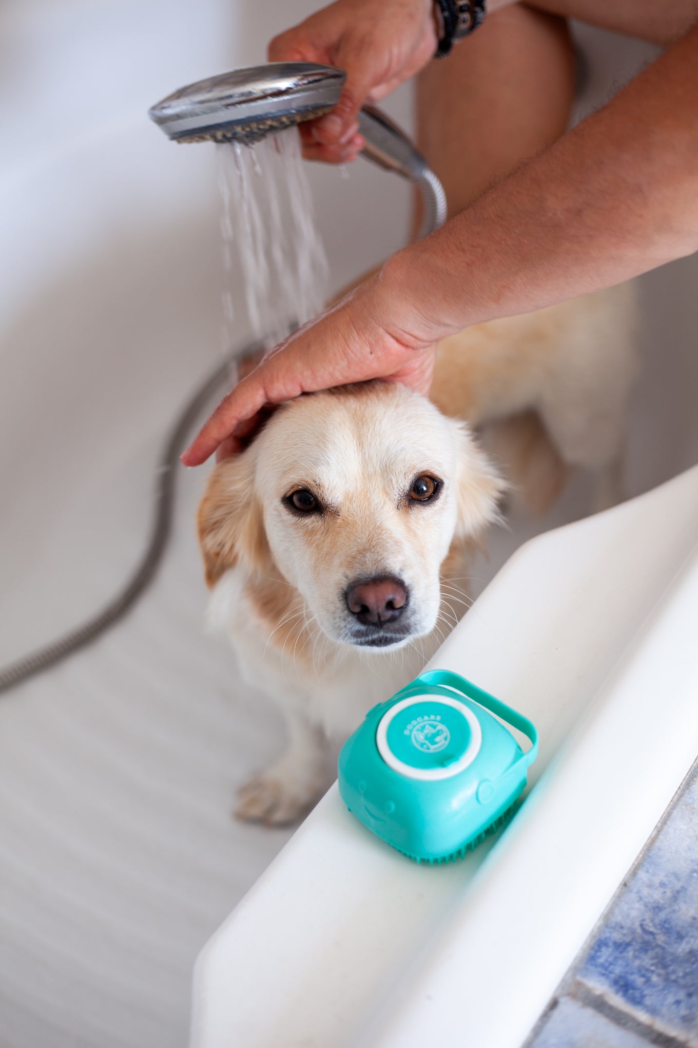 DogCare® Bath & Massage Brush (Blue)