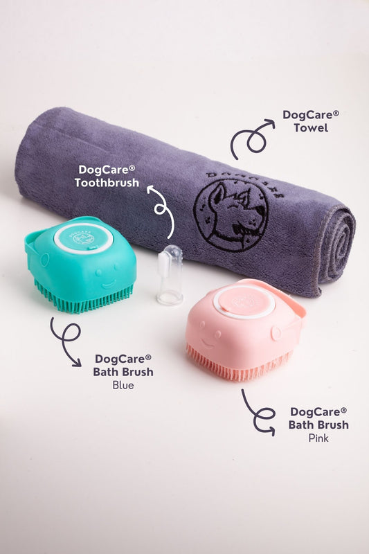 DogCare® Bath Kit (Silicon Brush Blue, Pink, Towel, ToothBrush)