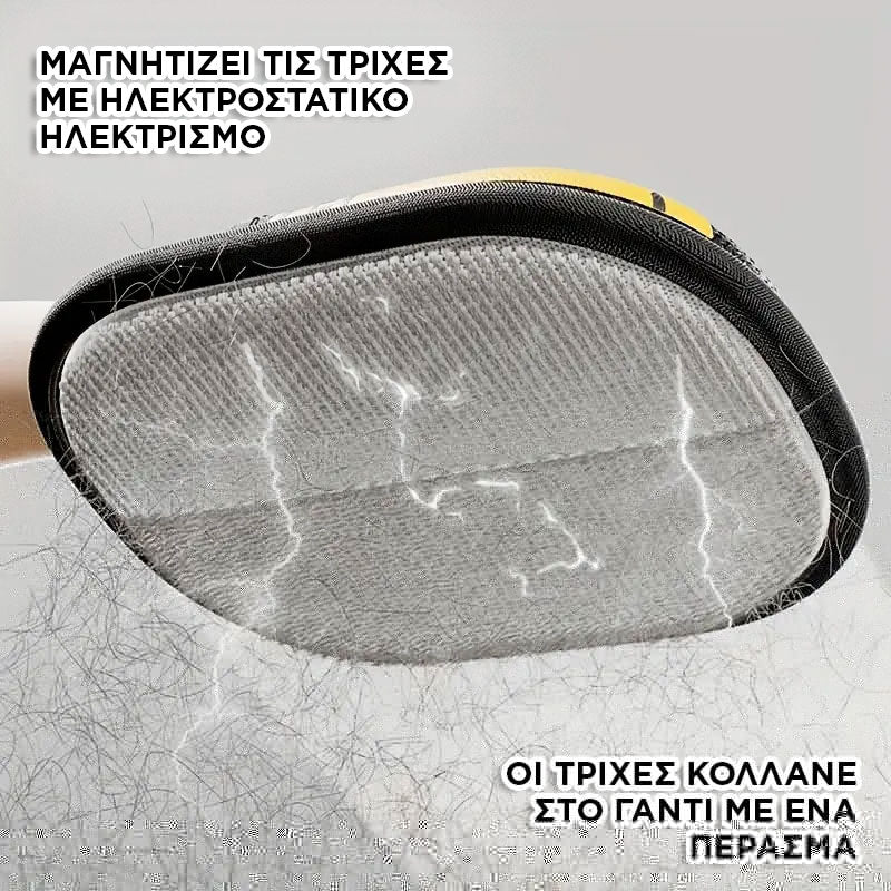 Double Direction  Hair Removal Glove  For Pets