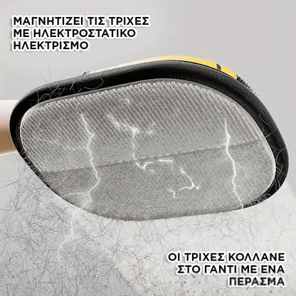 Double Direction  Hair Removal Glove  For Pets